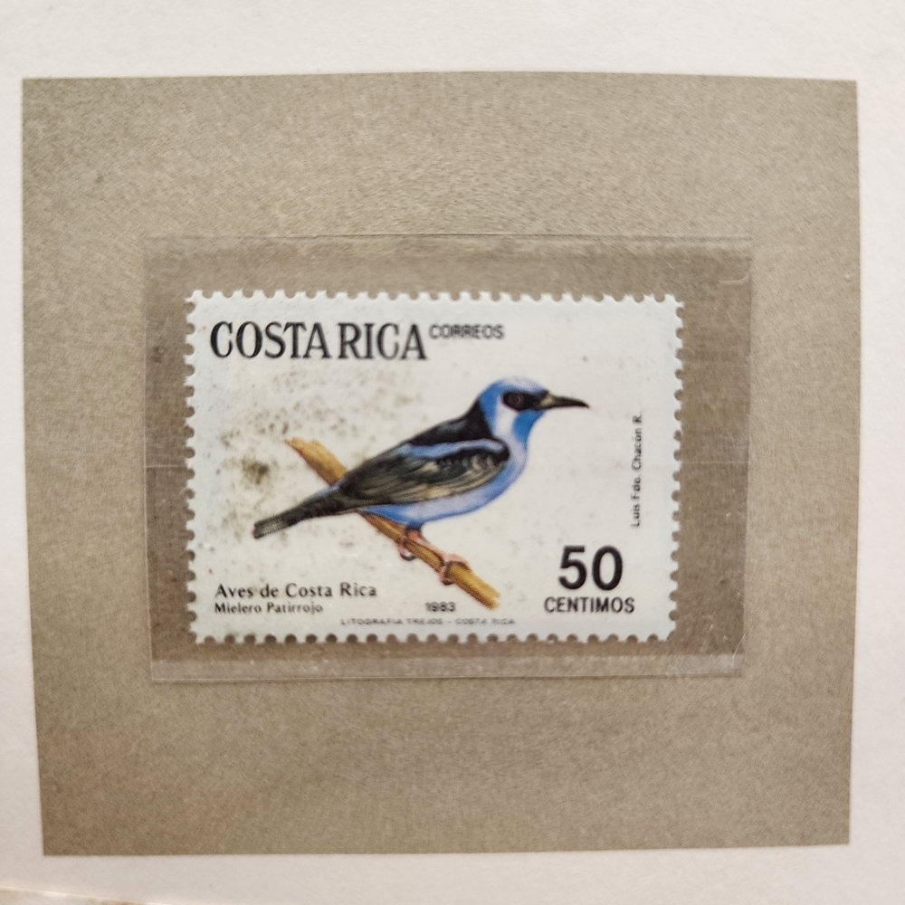 34 RSPB Songbirds of the World Stamps Vintage Royal Society British - Picture 11 of 13